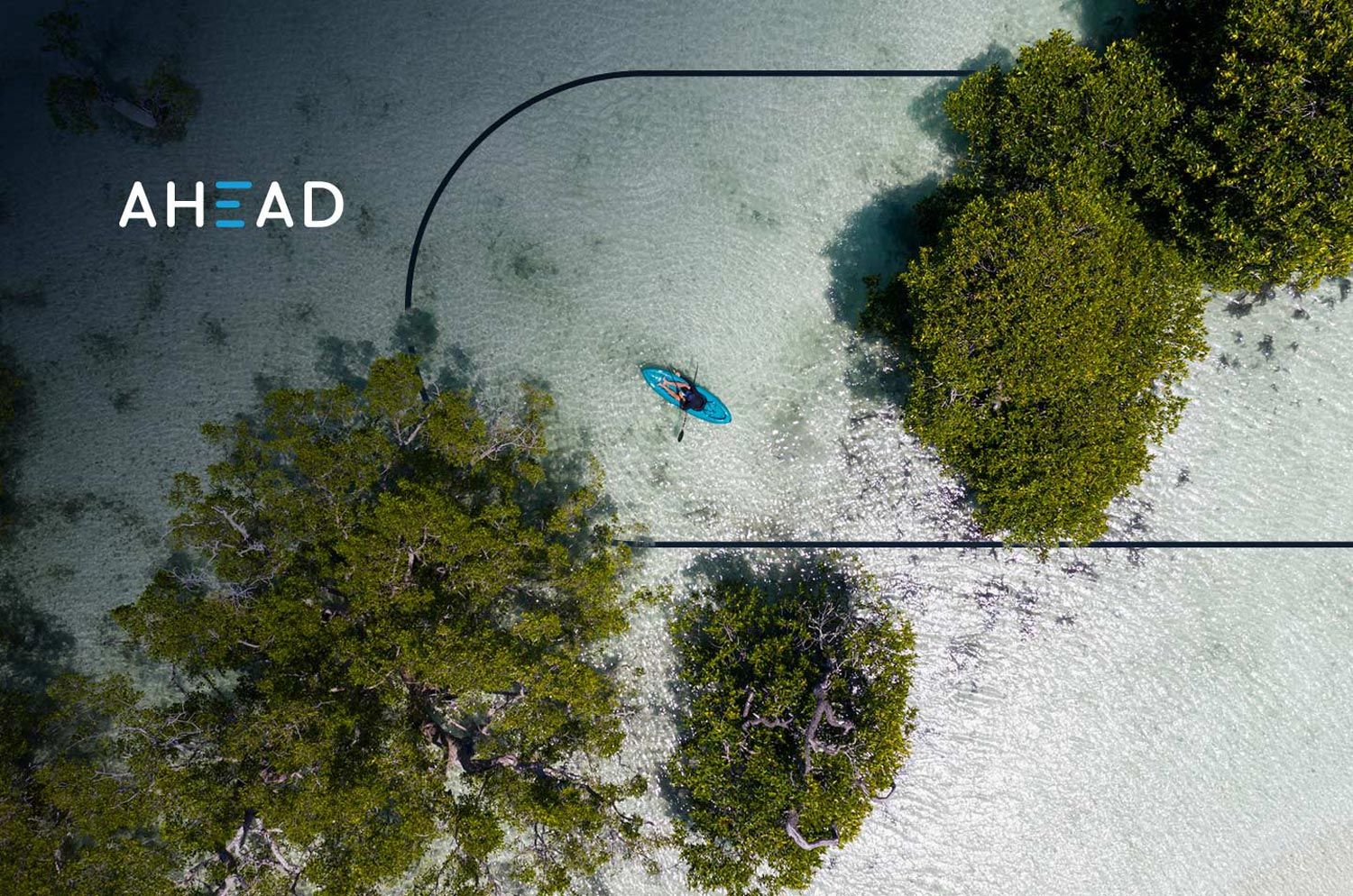 aerial view of a kayaker in the water around low trees